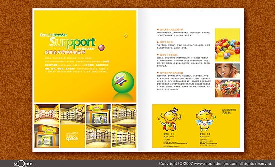 食品招商画册设计欣赏6