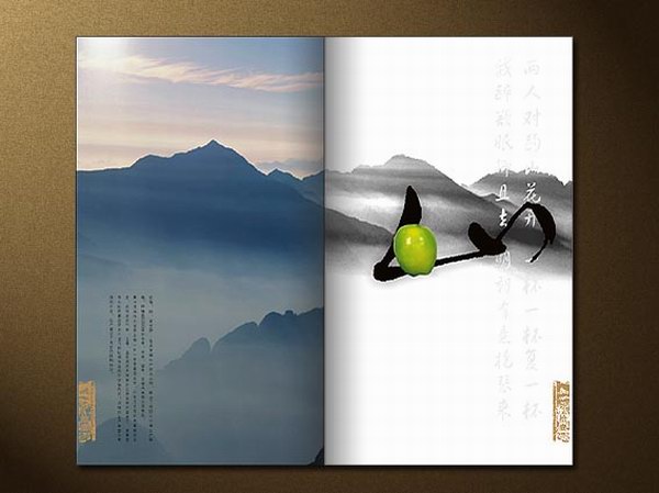 中国风的果酒画册设计欣赏3