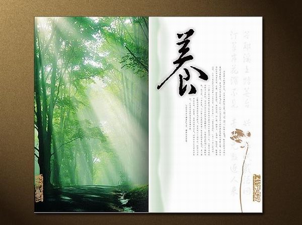 中国风的果酒画册设计欣赏4